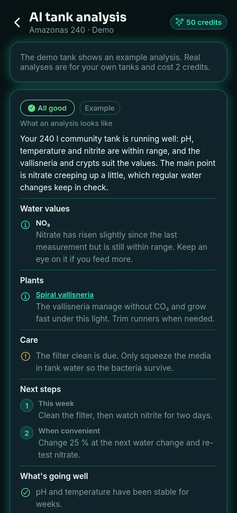 AI tank analysis with summary, assessment per area and next steps